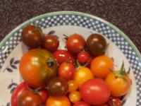 Obst und Gemüse 2016