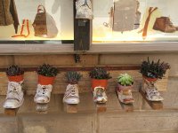 handgemachte Blumentöpfe vor dem Schaufenster eines Schuhmachers