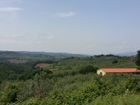 Quer durchs Chianti Richtung Radda