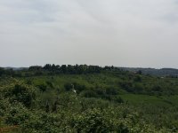 Quer durchs Chianti Richtung Radda