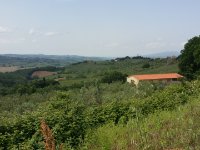 Quer durchs Chianti Richtung Radda