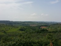 Quer durchs Chianti Richtung Radda