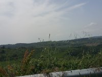 Quer durchs Chianti Richtung Radda