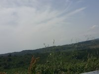 Quer durchs Chianti Richtung Radda