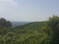 Quer durchs Chianti Richtung Radda