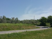 Quer durchs Chianti Richtung Radda