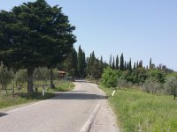 Quer durchs Chianti Richtung Radda