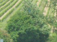 Quer durchs Chianti Richtung Radda