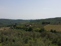 Quer durchs Chianti Richtung Radda